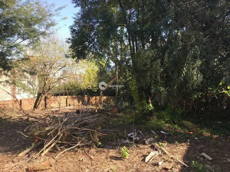 Terreno à venda no Nossa Senhora das Dores: 