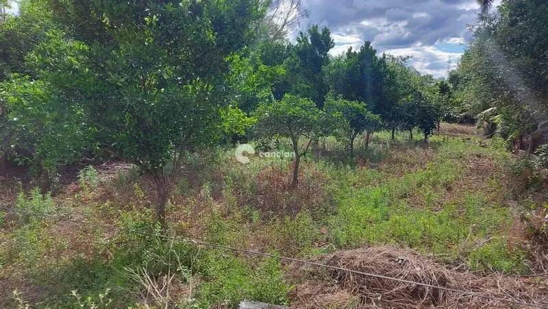 Terreno à venda no São José: 