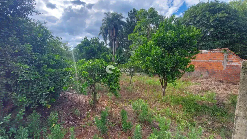 Terreno à venda no São José: 