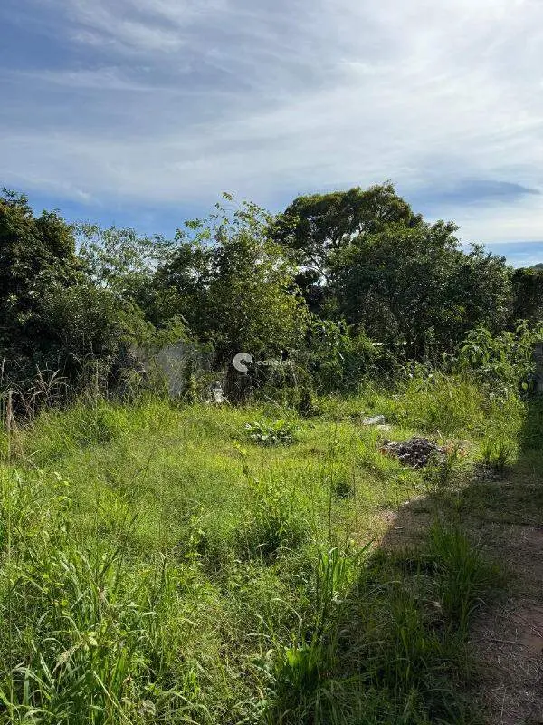 Terreno à venda no Itararé: 