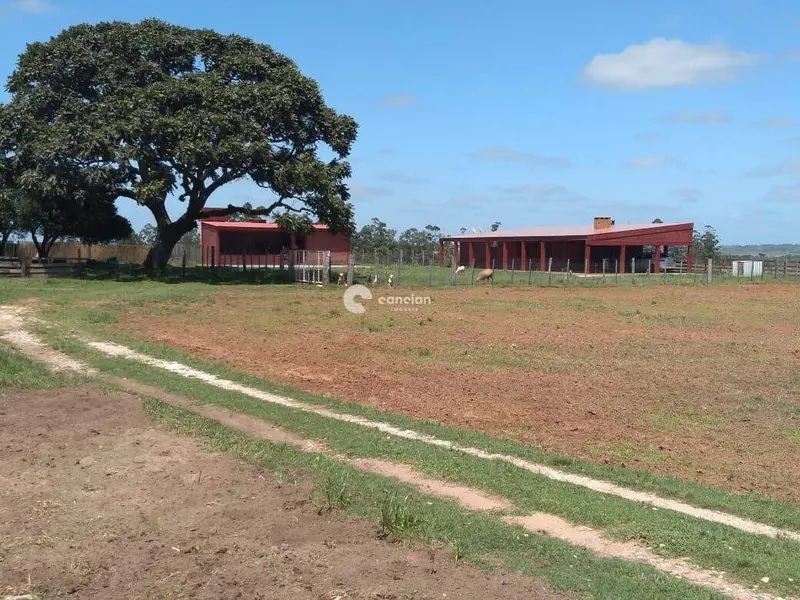 Chácara à venda no Lorenzi: