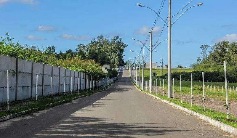 Terreno à venda no Camobi: 
