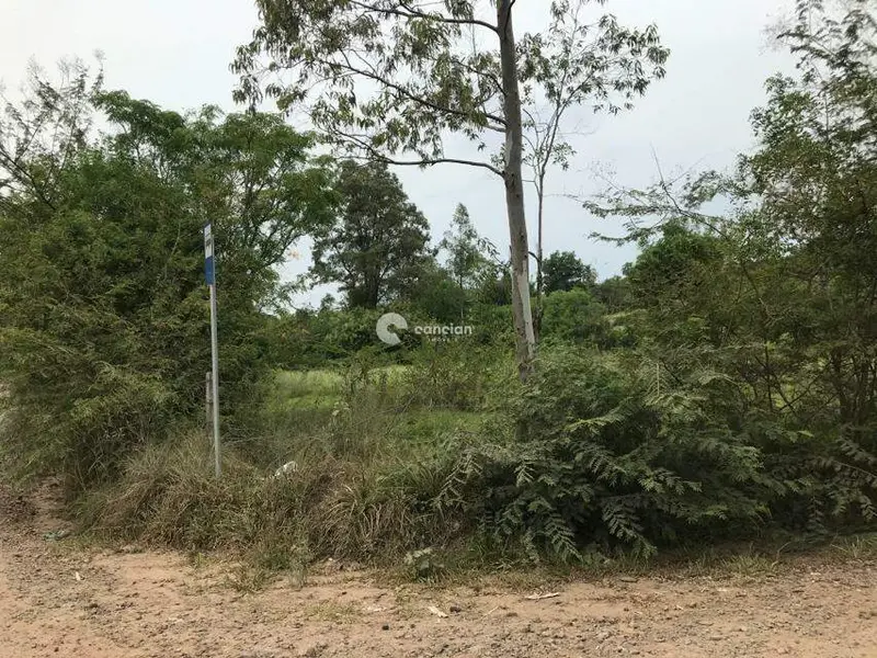 Terreno à venda no Diácono João Luiz Pozzobon: 