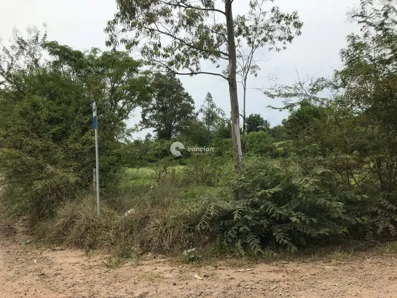 Terreno à venda no Diácono João Luiz Pozzobon: