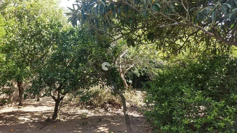 Terreno à venda no Presidente João Goulart: 