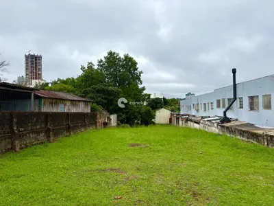 Terreno à venda no Nossa Senhora de Lourdes: 