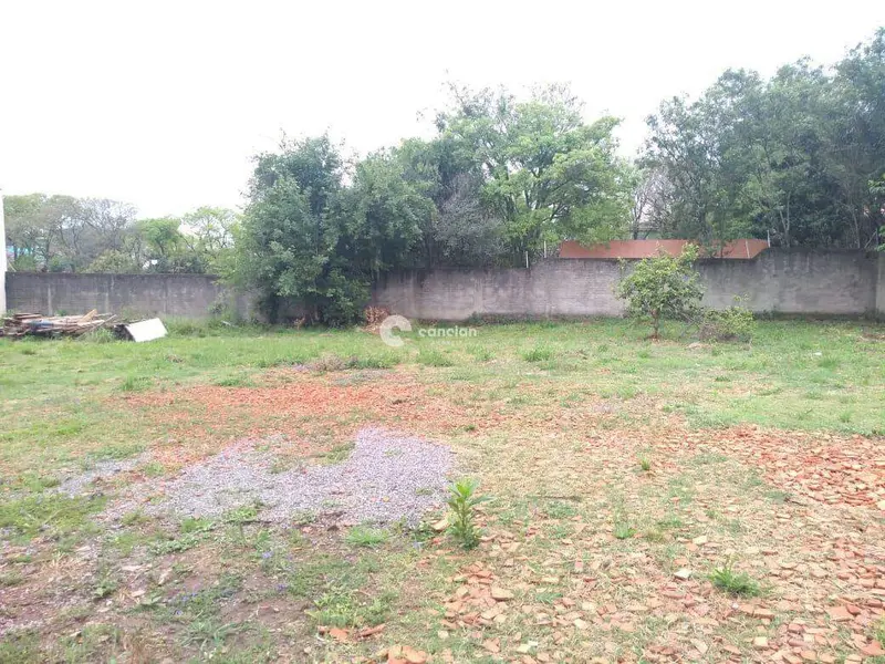 Terreno à venda no Camobi: 