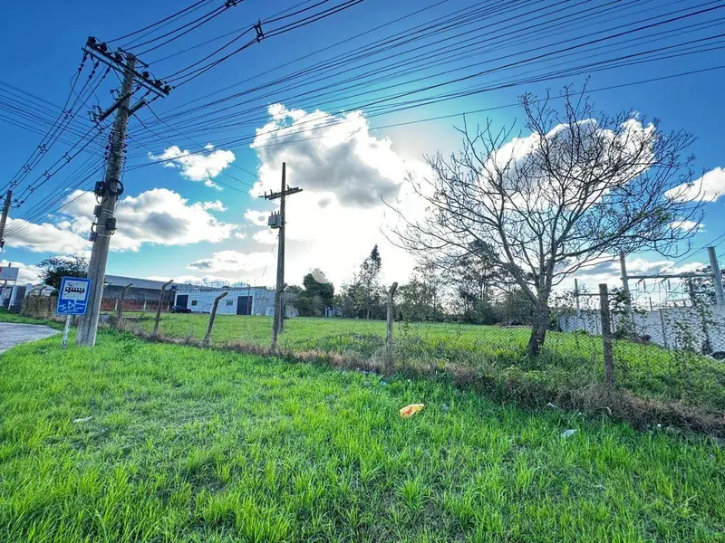 Terreno à venda no Boi Morto: 