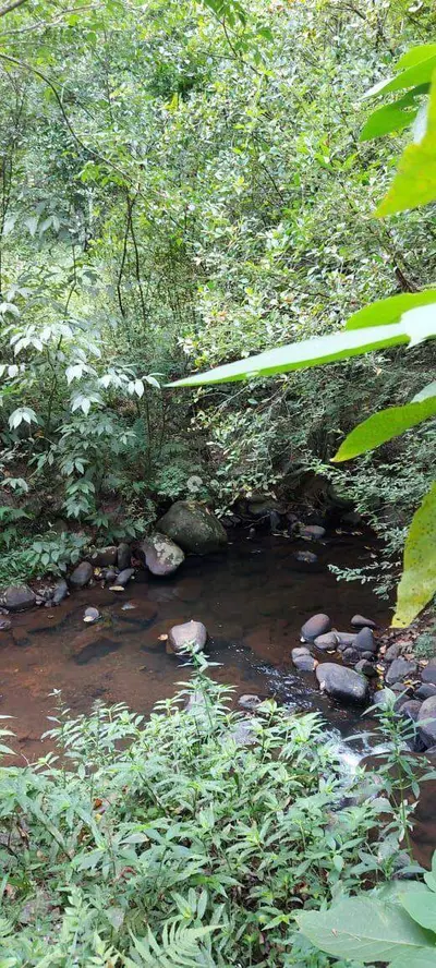 Área Rural à venda no Camobi: 