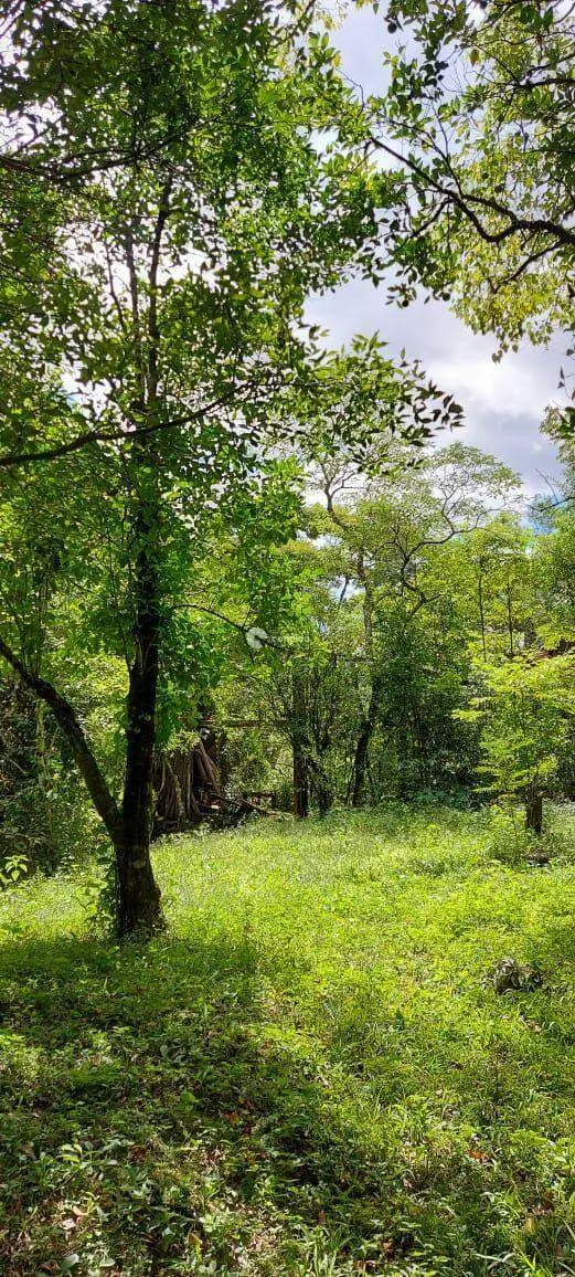 Área Rural à venda no Camobi: 