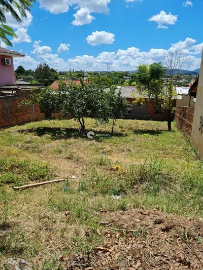 Terreno à venda no Pinheiro Machado: 