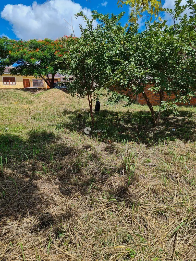 Terreno à venda no Pinheiro Machado: 