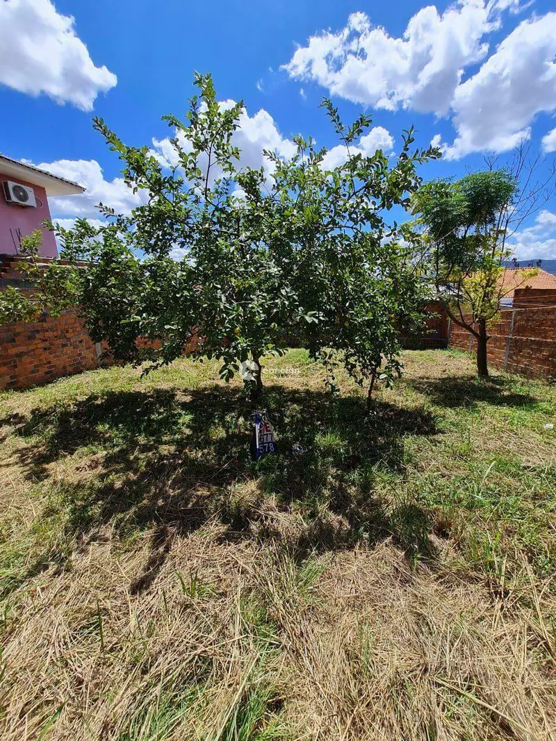 Terreno à venda no Pinheiro Machado: 