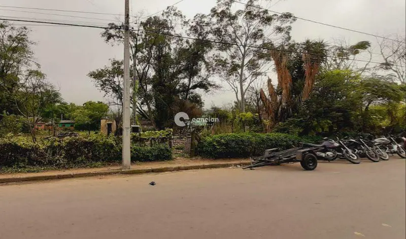Terreno à venda no Carolina: