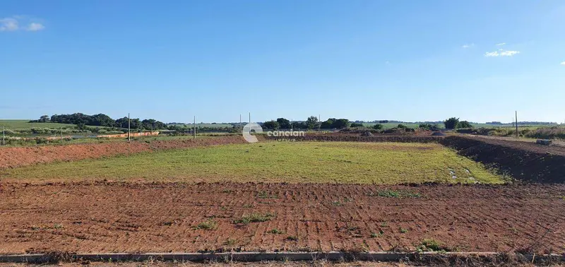 Terreno à venda no Camobi: 