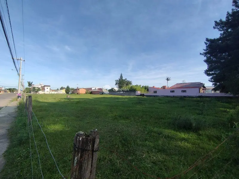 Terreno à venda no Pinheiro Machado: 
