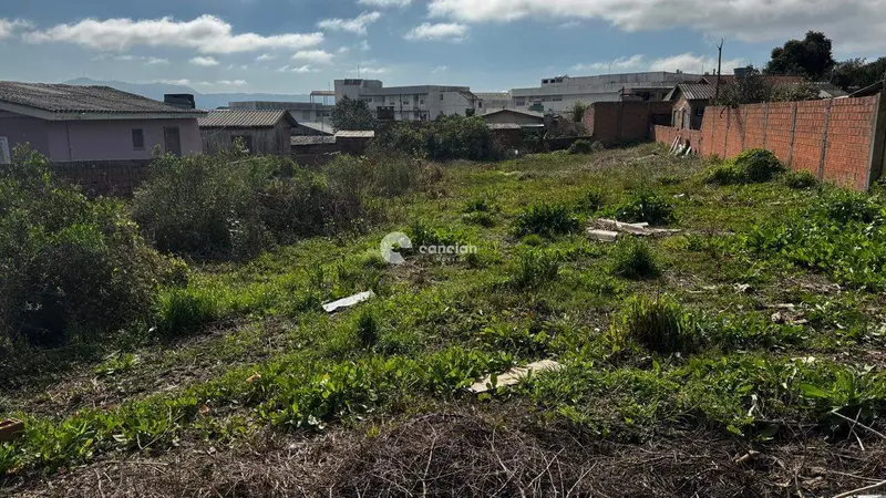 Terreno à venda no Pinheiro Machado: 