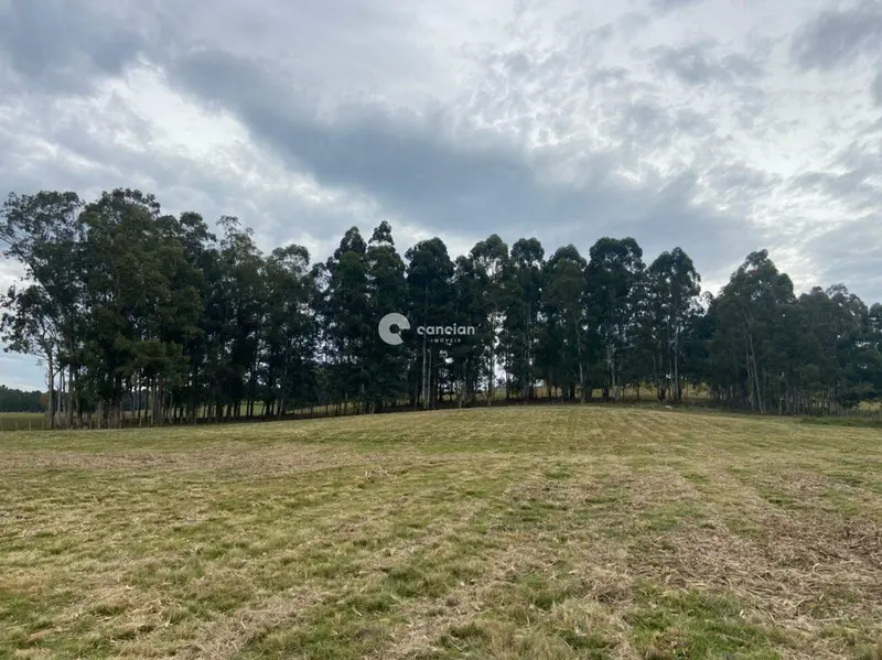 Área Rural à venda no Boca do Monte: 