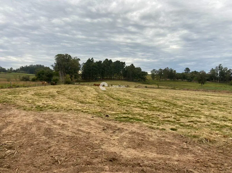 Área Rural à venda no Boca do Monte: 