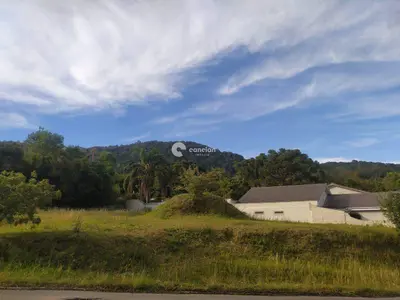 Terreno à venda no Nossa Senhora do Perpétuo Socorro: 
