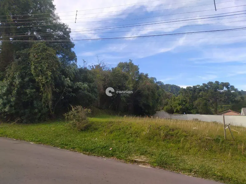 Terreno à venda no Nossa Senhora do Perpétuo Socorro: 