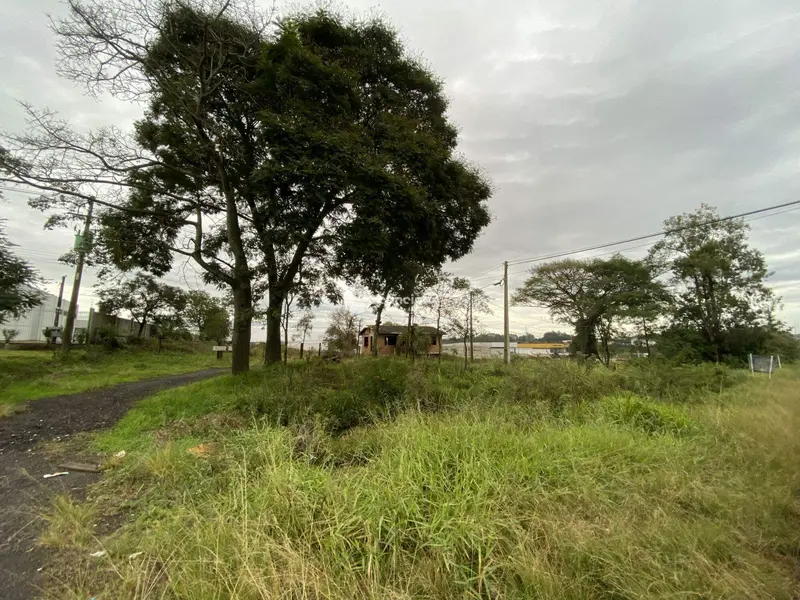 Terreno à venda no Urlândia: 