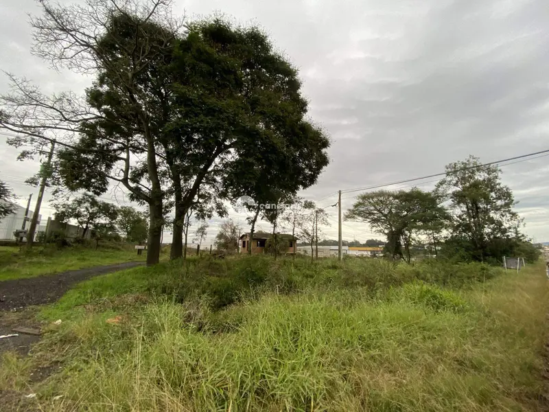 Terreno à venda no Urlândia: 