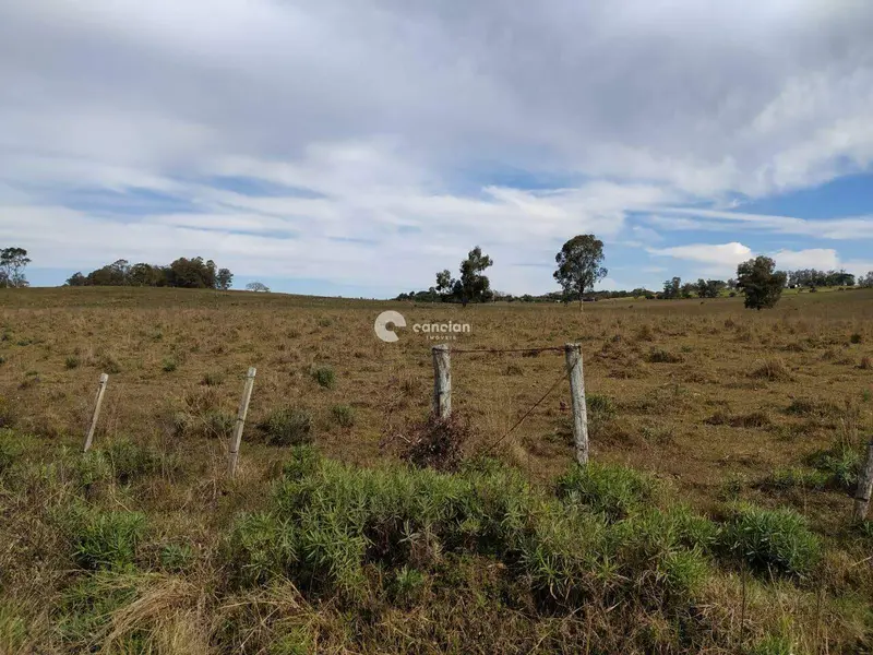 Área Rural à venda no Centro: 