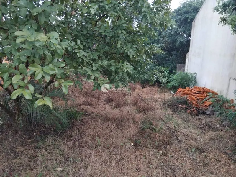 Terreno à venda no Presidente João Goulart: 
