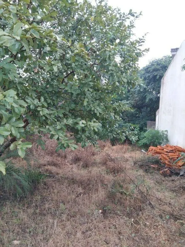 Terreno à venda no Presidente João Goulart: 