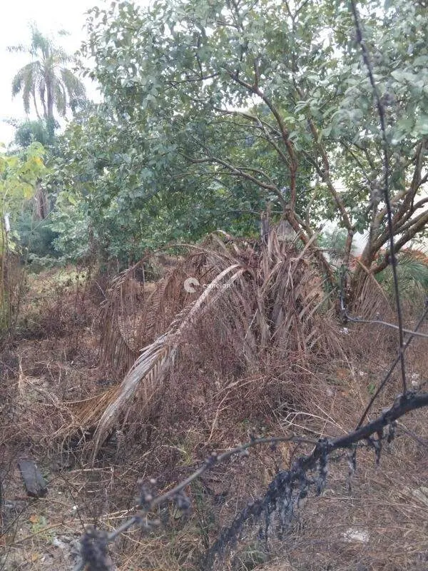 Terreno à venda no Presidente João Goulart: 