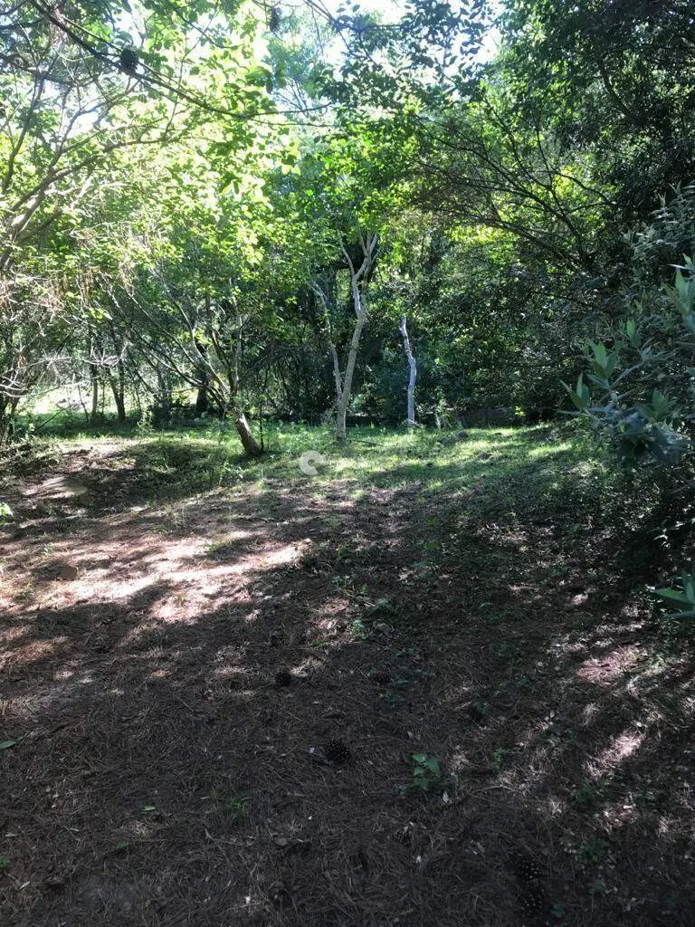 Terreno à venda no Cerrito: 