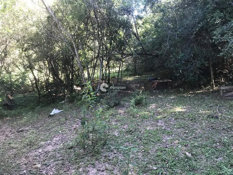 Terreno à venda no Cerrito: 
