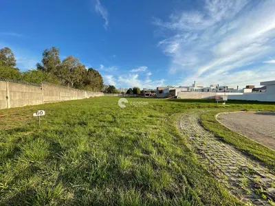 Terreno à venda no Camobi: 