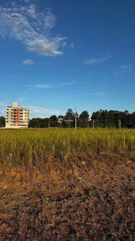 Terreno à venda no Camobi: 