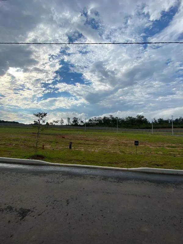 Terreno à venda no Tomazetti: 