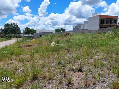 Terreno à venda no São José: 