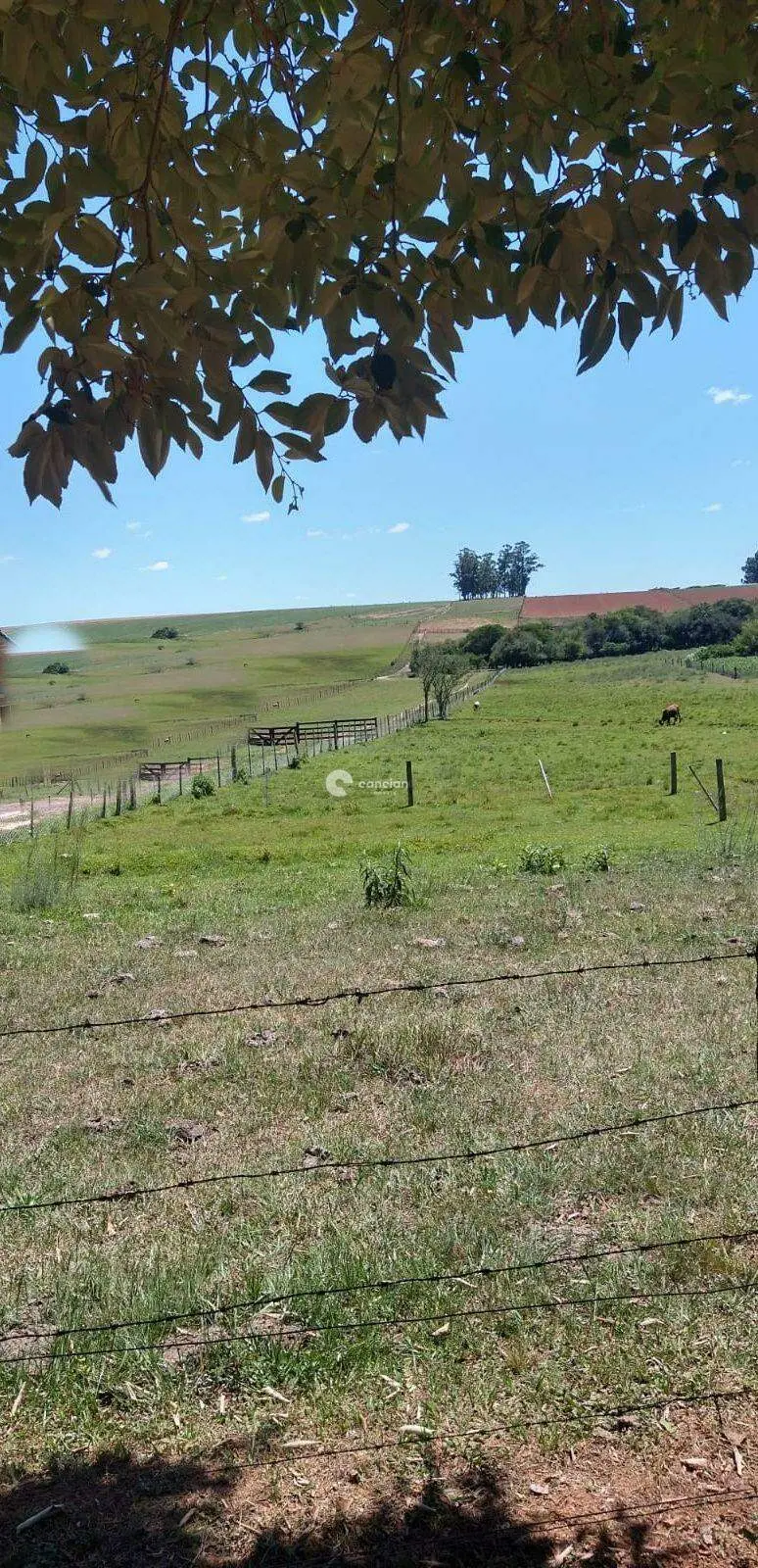 Terreno à venda no Boca do Monte: 