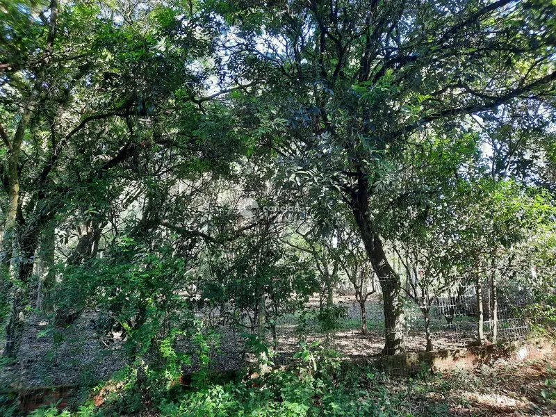 Terreno à venda no Vila Etelvina: 