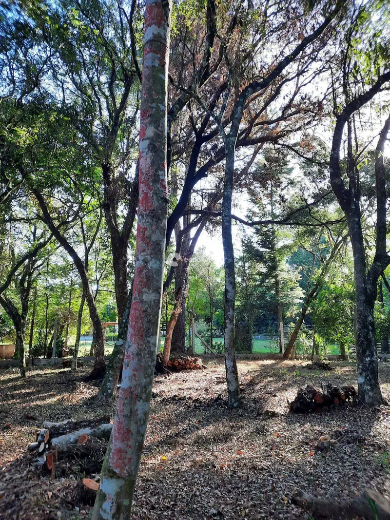 Terreno à venda no Vila Etelvina: 
