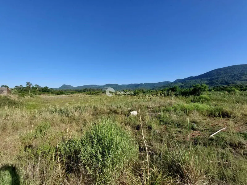 Terreno à venda no Camobi: 