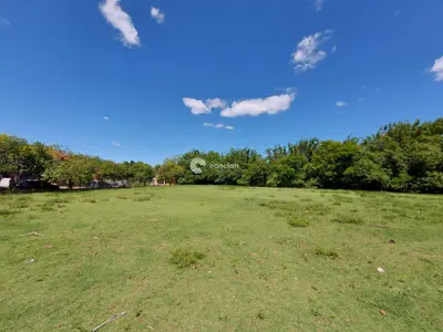Terreno à venda no Noal: 