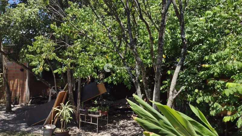 Terreno à venda no Camobi: 
