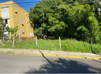 Terreno à venda no Nossa Senhora de Lourdes: 