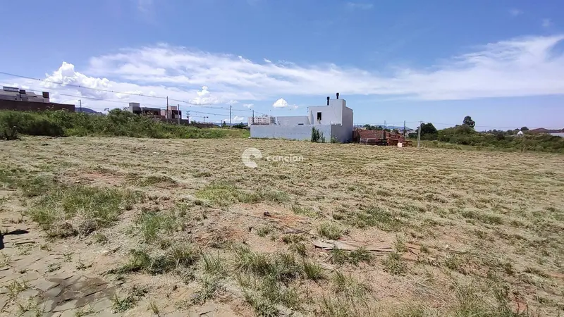 Terreno à venda no Camobi: 