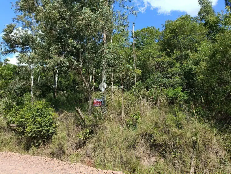 Terreno à venda no Nossa Senhora de Lourdes: 