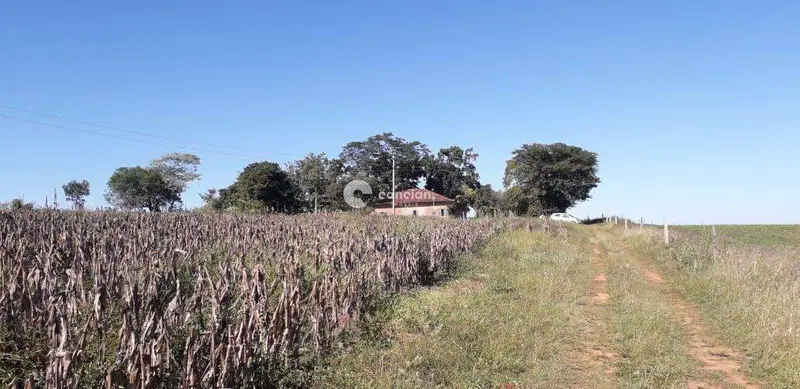 Área Rural à venda no Zona rural: