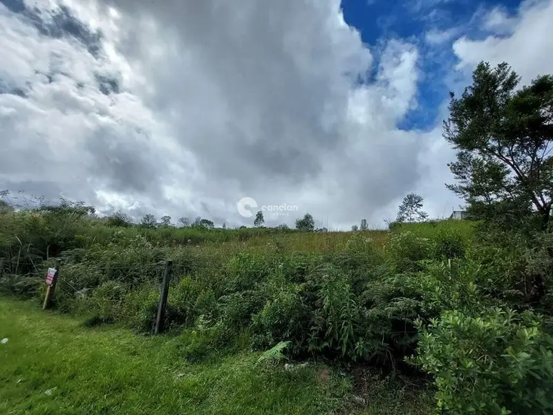 Terreno à venda no Silveira Martins: 