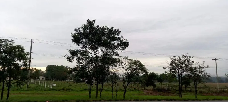 Terreno Comercial à venda no Passo das Tropas: 