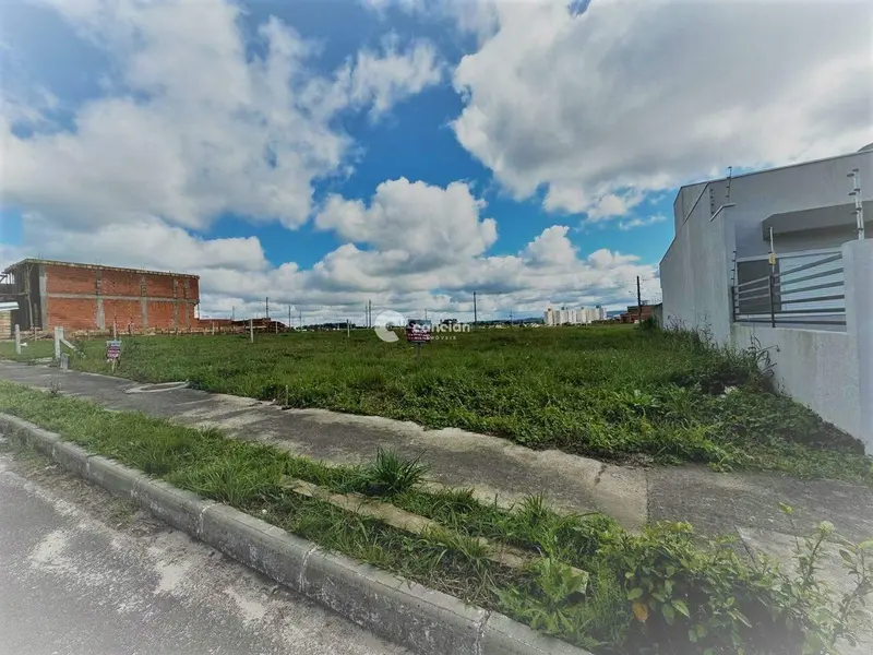 Terreno à venda no Pinheiro Machado: 
